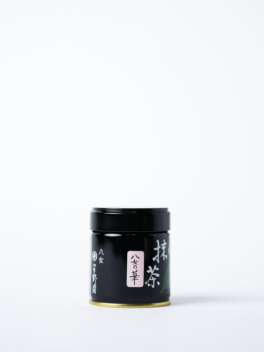 Hana - Premium Matcha